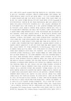 지역주의로 본 스페인의 인종문제 ★ 스페인 지역주의 배경 ★ 스페인 지역-5