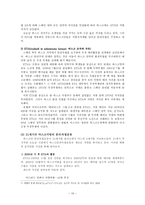 지역주의로 본 스페인의 인종문제 ★ 스페인 지역주의 배경 ★ 스페인 지역-10