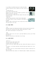 우주전쟁 작품 분석-6