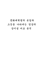 인문어학 문화대혁명의 본질과 그것을 나타내는 영상의 상이성 비교 분석-1