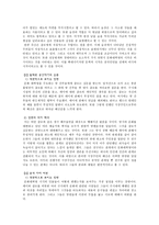 인문어학 문화대혁명의 본질과 그것을 나타내는 영상의 상이성 비교 분석-8