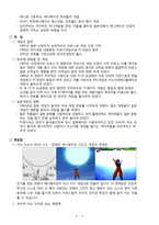 만화와 애니메이션 그리고 게임-3