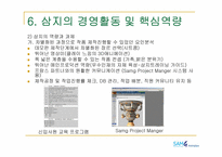 (주)삼지 애니메이션의 해외진출성공사례분석 - 공동제작프로젝트 중심으로-17