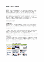 싸이월드의 성공요인-1