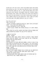 [기업경영] 넥슨의 카트라이더 성공전략-5