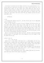 [디자인마케팅] PDP TV시장 삼성의 PAVV와 LG의 Xcanvas, SONY의 WEGA 마케팅전략 비교-8