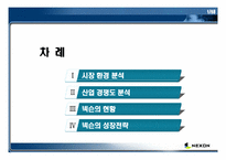 온라인게임산업 경쟁도분석(넥슨)-2