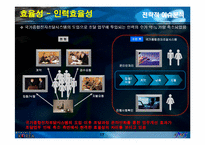 차세대 전자정부의 효과 분석 - 국가종합전자조달시스템을 중심으로-17