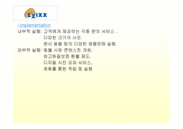 [이비즈니스] zzixx.com의 비즈니스모델분석-17