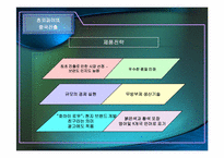 [기업경영] 오리온 초코파이의 중국시장성공사례-14