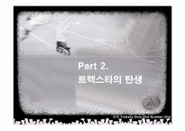 [기업경영론](주)성호실업의 트렉스타 성공신화-8