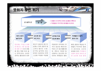 [기업경영론](주)성호실업의 트렉스타 성공신화-11