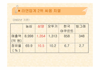 [기업경영] 삼양라면의 성공요인과 경영전략-8