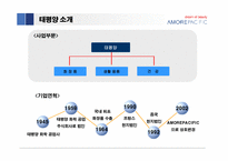 [경영전략] 태평양의 성공요인과 향후 성장 전략-5