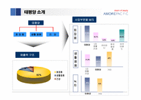 [경영전략] 태평양의 성공요인과 향후 성장 전략-6