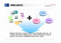 [경영전략] 태평양의 성공요인과 향후 성장 전략-16