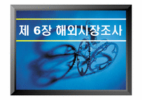 [국제마케팅] 해외시장조사-1
