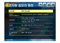 [국제마케팅] 해외시장조사-8