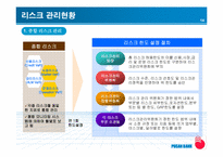 [금융기관경영론] 부산은행 리스크관리 발전방안-14