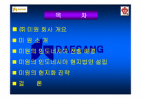 [국제경영](주)대상의 인도네시아 해외진출 사례-2