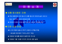 [국제경영](주)대상의 인도네시아 해외진출 사례-4