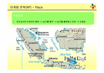 [국제경영] 햇반 글로벌화 전략-12
