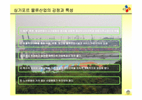 [국제경영] 햇반 글로벌화 전략-18