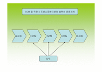 [공급체인관리] `LG실트론` E- 트랜스포메이션을 통한 SCM 개선-14