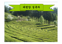 [마케팅] 태평양 설록차 마케팅분석-1