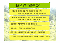 [마케팅] 태평양 설록차 마케팅분석-3