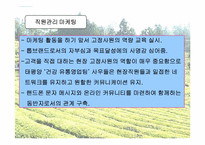 [마케팅] 태평양 설록차 마케팅분석-7