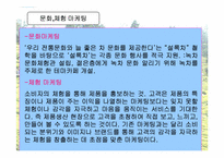 [마케팅] 태평양 설록차 마케팅분석-10