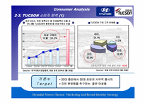 [마케팅조사론] 현대자동차 투싼 사례-13