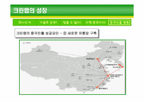 [기업경영론] 크린랩 사례개발-19