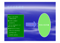 [기업경영사례] 태평양의 향수 `롤리타 렘피카`사례-6