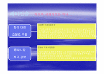 [기업경영사례] 태평양의 향수 `롤리타 렘피카`사례-9