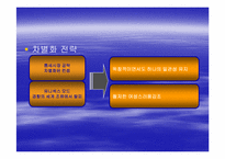 [기업경영사례] 태평양의 향수 `롤리타 렘피카`사례-11