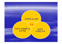 [기업경영사례] 태평양의 향수 `롤리타 렘피카`사례-15