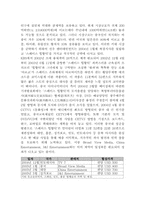 [국제경영] 선우엔터테인먼트 해외진출사례분석-8