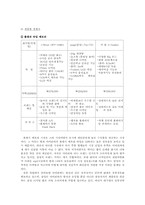[기업경영] MP3시장의 강자 레인콤(i-river)아이리버 분석-6