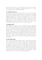 [문화마케팅] 문화마케팅에 대해서-7