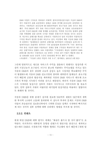 [레포트] DMB산업의 발전 및 과제-16