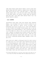 [레포트] DMB산업의 발전 및 과제-19