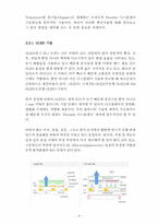 차세대디스플레이산업의 전망-11