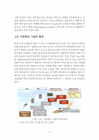 차세대 유무선통합 네트워크의 진화방향-11