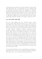 차세대 유무선통합 네트워크의 진화방향-12