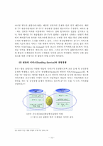 IP-TV서비스 현황과 발전방향-19