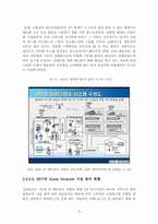 홈네트워크산업 발전 방향-13