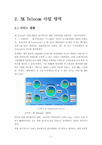 [정보통신] SKT사례를 통한 중국이동통신서비스 시장 진출방안에 대한 분석-5