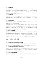 [정보통신] SKT사례를 통한 중국이동통신서비스 시장 진출방안에 대한 분석-16